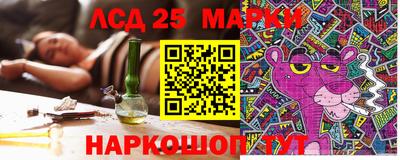 Альфа ПВП Кандалакша