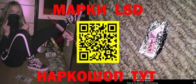 Альфа ПВП Кандалакша