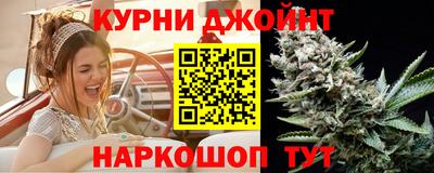 Альфа ПВП Кандалакша