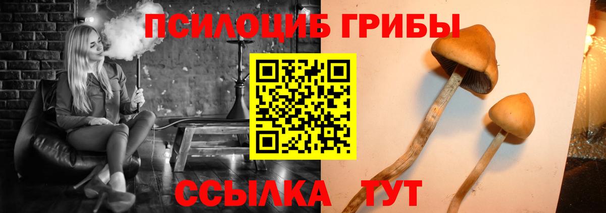 Галлюциногенные грибы Psilocybe  Псилоцибиновые грибы MAGIC MUSHROOMS  Вход с VPN  Янаул 